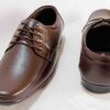 ZL-49_D_N ZL-49 BROWN DERBY